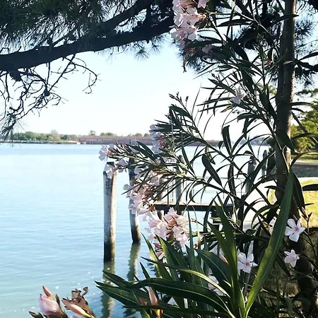 Lagoon View Terrace Apartament